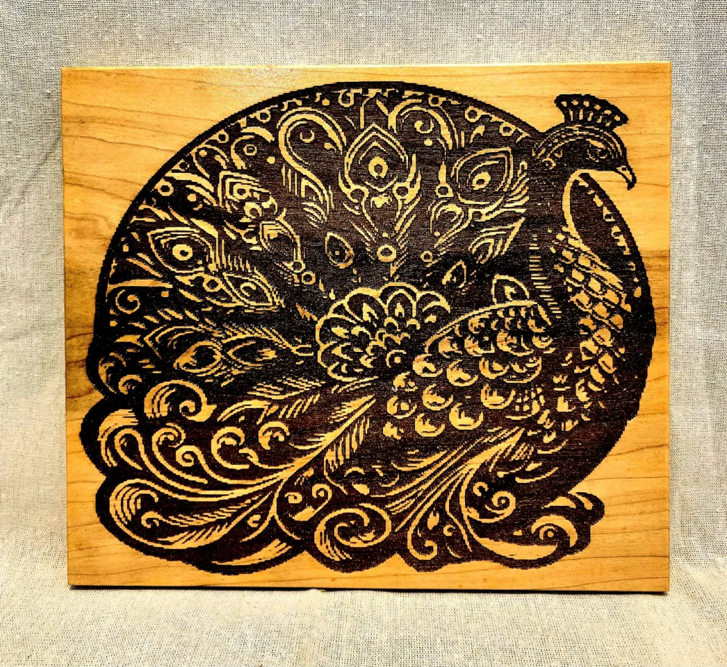 majesticpeacock